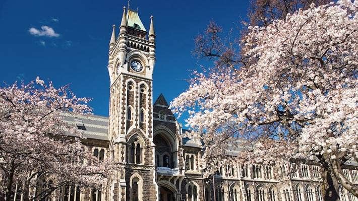 University of Otago cũng là lựa chọn của nhiều sinh viên ngành Y, Điều dưỡng khi du học New Zealand